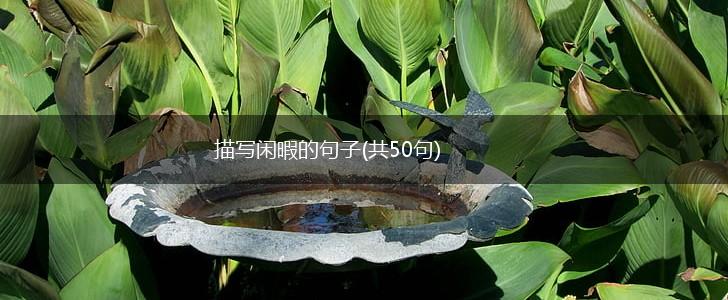 描写闲暇的句子(共50句),第1张