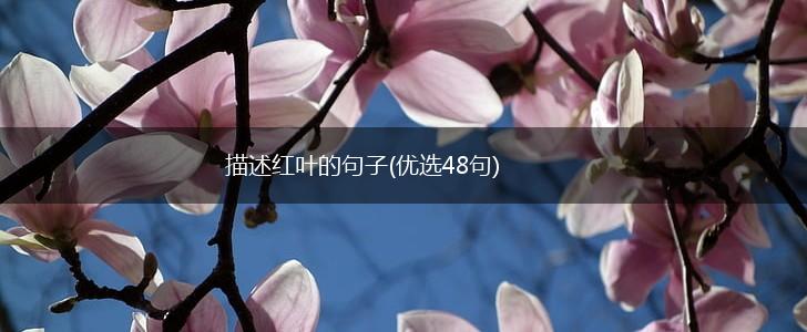描述红叶的句子(优选48句),第1张