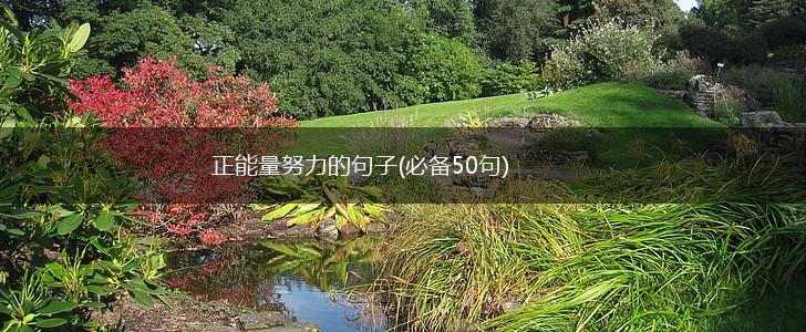 正能量努力的句子(必备50句),第1张