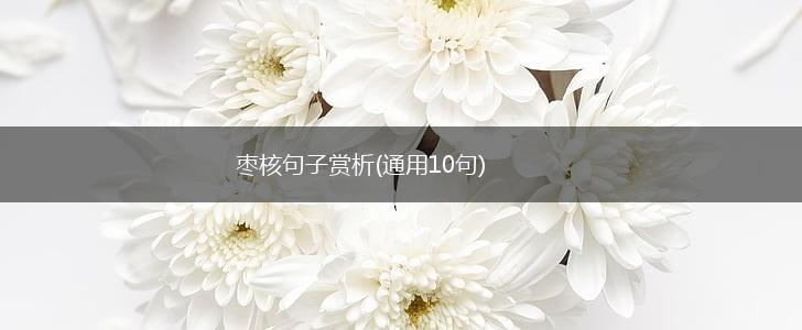 枣核句子赏析(通用10句),第1张