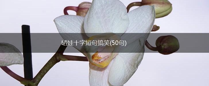 晒娃十字短句搞笑(50句),第1张