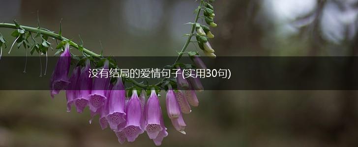 没有结局的爱情句子(实用30句),第1张