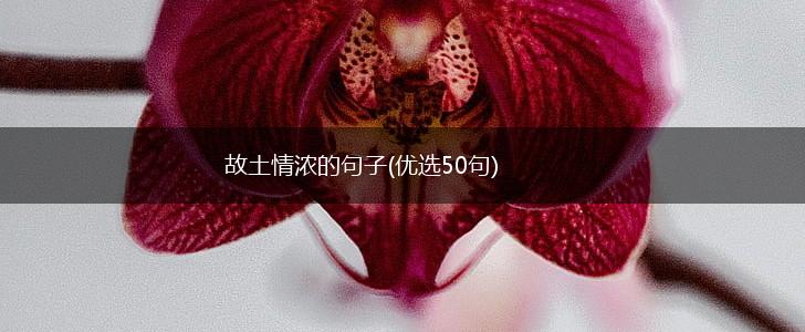 故土情浓的句子(优选50句),第1张