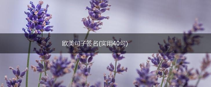 欧美句子签名(实用40句),第1张