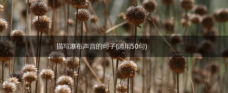 描写瀑布声音的句子(通用50句),第1张