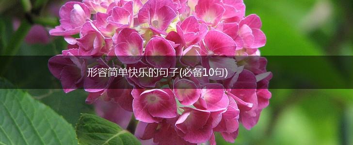 形容简单快乐的句子(必备10句),第1张