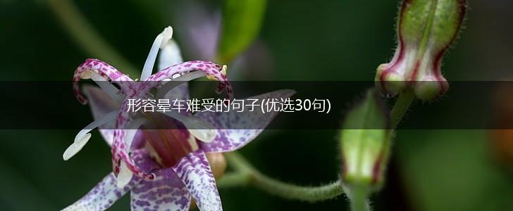 形容晕车难受的句子(优选30句),第1张