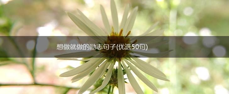 想做就做的励志句子(优选50句),第1张