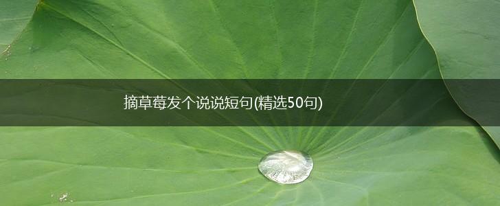 摘草莓发个说说短句(精选50句),第1张