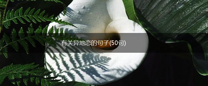 有关异地恋的句子(50句),第1张