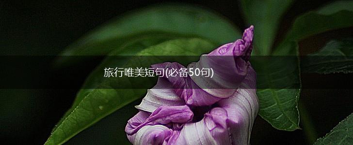 旅行唯美短句(必备50句),第1张