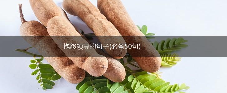 抱怨领导的句子(必备50句),第1张