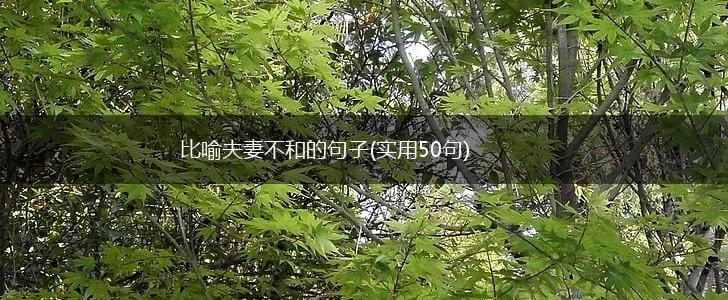 比喻夫妻不和的句子(实用50句),第1张