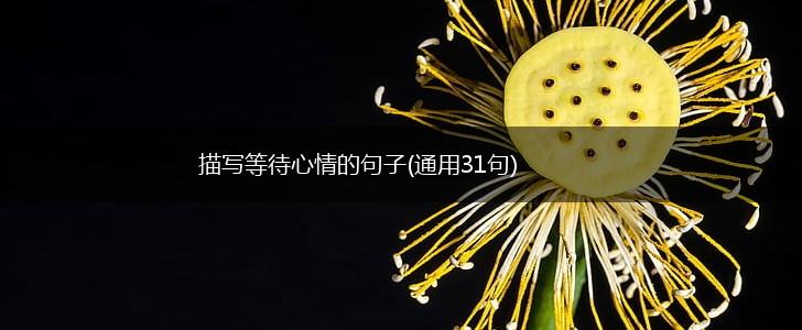 描写等待心情的句子(通用31句),第1张