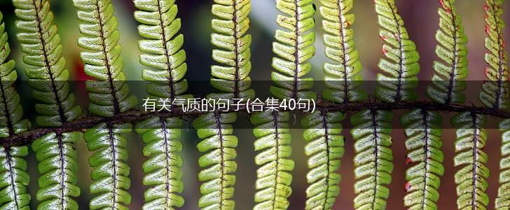 有关气质的句子(合集40句),第1张
