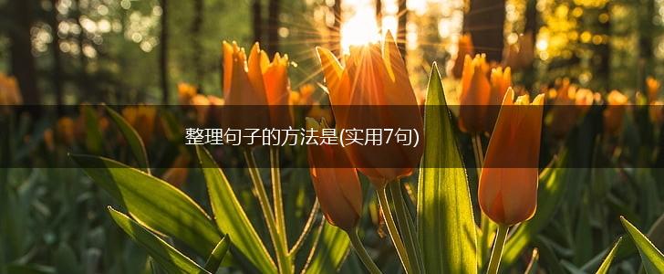 整理句子的方法是(实用7句),第1张