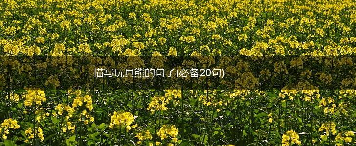 描写玩具熊的句子(必备20句),第1张