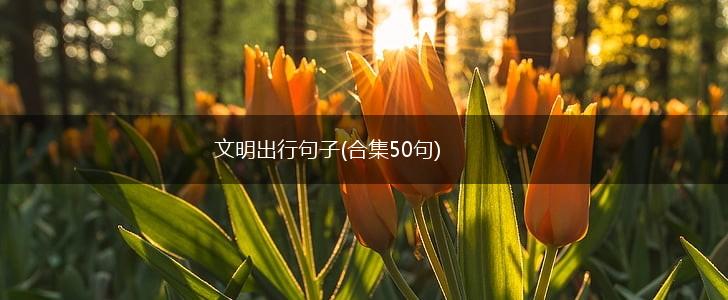 文明出行句子(合集50句),第1张