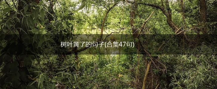 树叶黄了的句子(合集47句),第1张