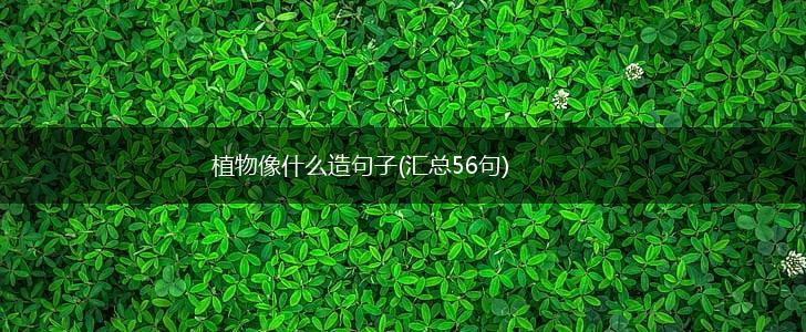 植物像什么造句子(汇总56句),第1张