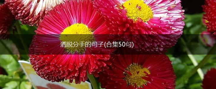 洒脱分手的句子(合集50句),第1张