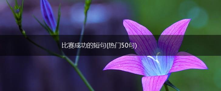 比赛成功的短句(热门50句),第1张