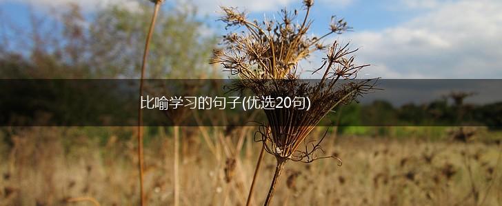 比喻学习的句子(优选20句),第1张