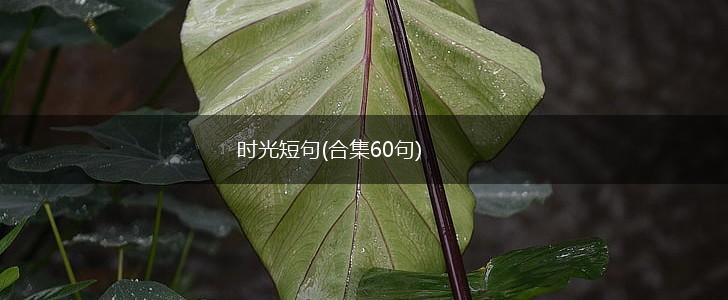 时光短句(合集60句),第1张