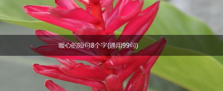 暖心的短句8个字(通用99句),第1张