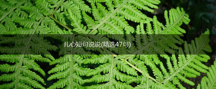 扎心短句说说(精选47句),第1张