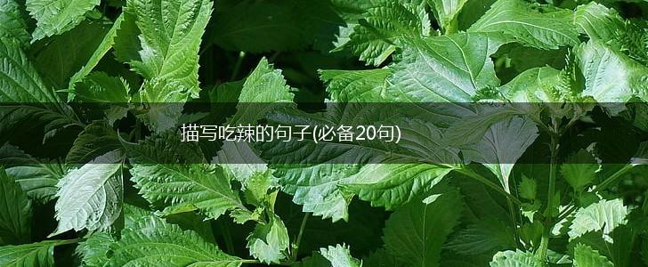 描写吃辣的句子(必备20句),第1张