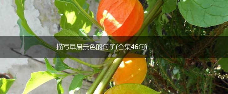 描写早晨景色的句子(合集46句),第1张