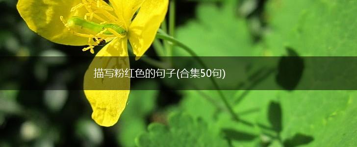 描写粉红色的句子(合集50句),第1张