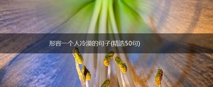 形容一个人冷漠的句子(精选50句),第1张
