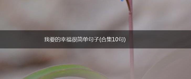 我要的幸福很简单句子(合集10句),第1张