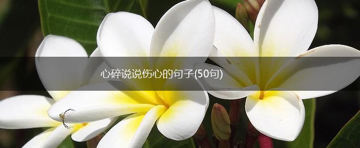 心碎说说伤心的句子(50句),第1张