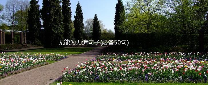 无能为力造句子(必备50句),第1张