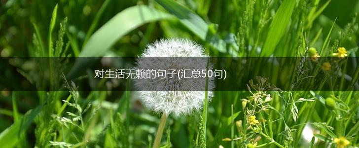 对生活无赖的句子(汇总50句),第1张