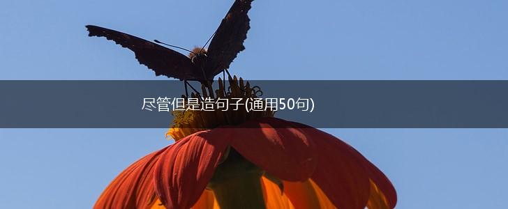 尽管但是造句子(通用50句),第1张