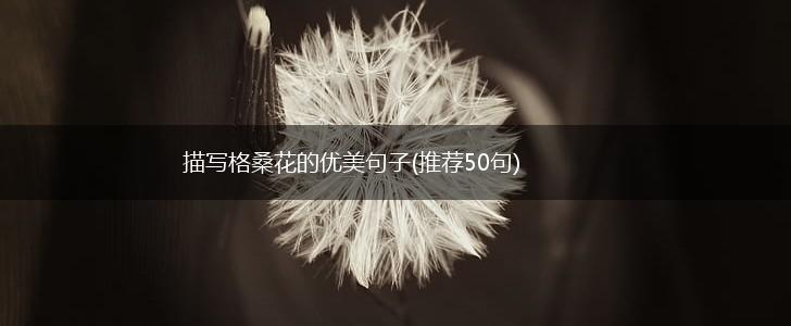 描写格桑花的优美句子(推荐50句),第1张