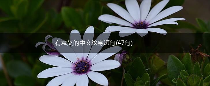 有意义的中文纹身短句(47句),第1张