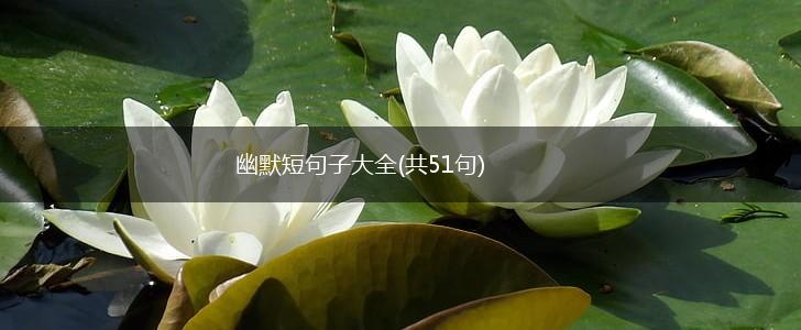 幽默短句子大全(共51句),第1张