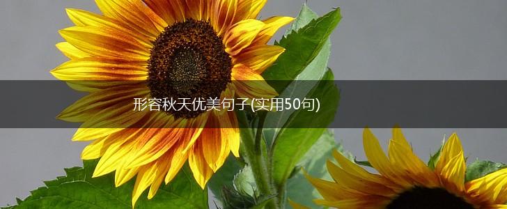 形容秋天优美句子(实用50句),第1张