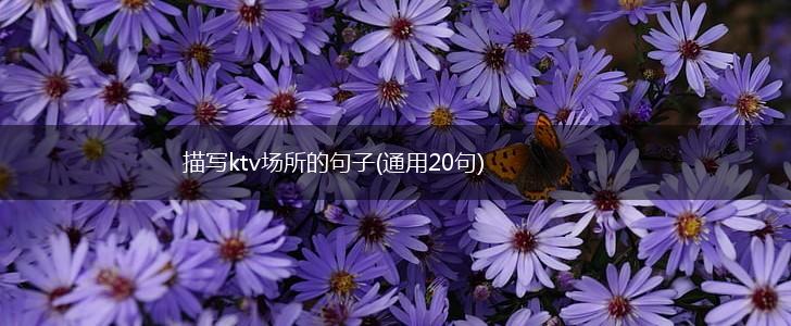 描写ktv场所的句子(通用20句),第1张