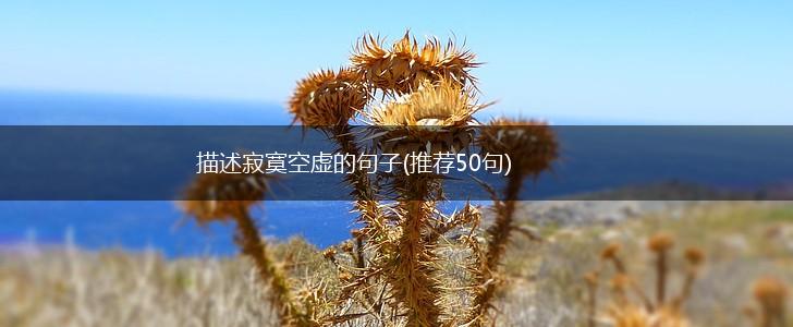 描述寂寞空虚的句子(推荐50句),第1张